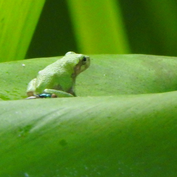 Meet Kat - Picture 8 of 8